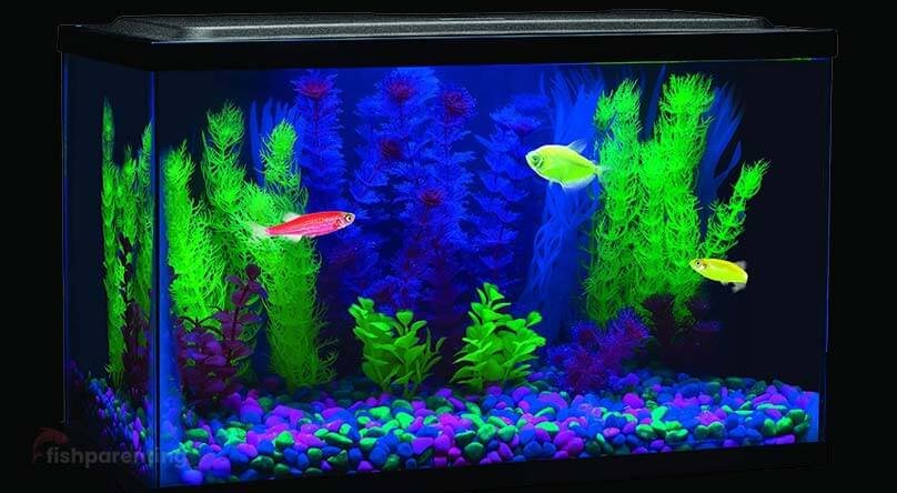 Blue light clearance for fish tank