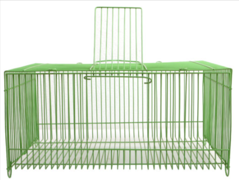 Budgie travel fashion cage